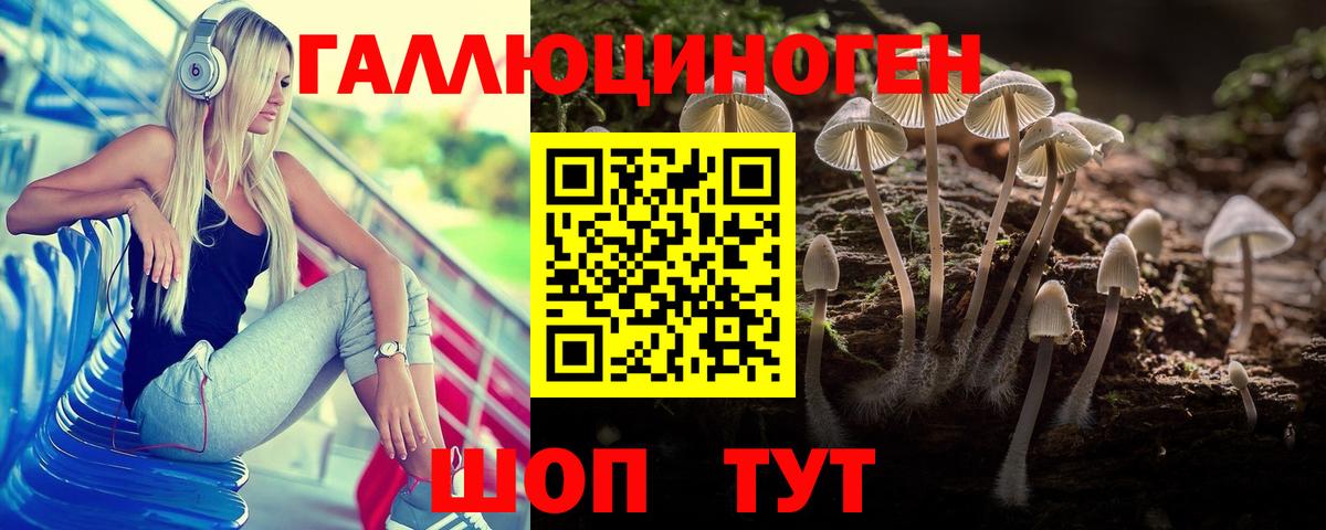 Троицк  Галлюциногенные грибы Psilocybine cubensis  Вход с VPN 
